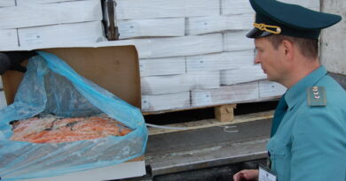 Сотрудники таможни и УФСБ пресекли контрабанду рыбы