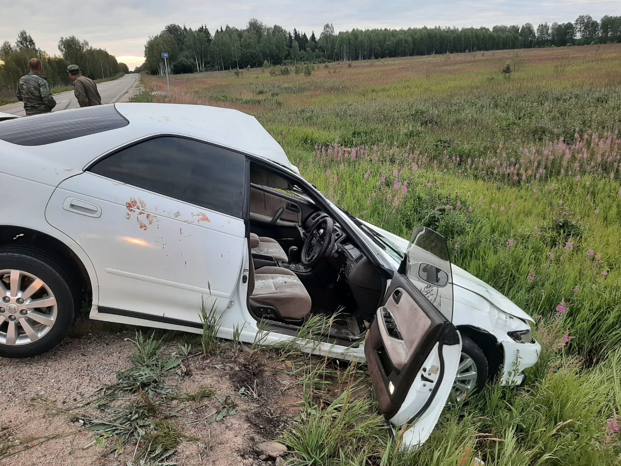 В Вяземском районе два человека пострадали в ДТП с лосем | 12.07.2023 |  Смоленск - БезФормата