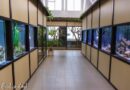 В Эколого-биологическом центре Смоленска открылся выставочный зал