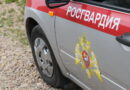 В Смоленской области росгвардейцы нашли пропавшего ребенка