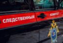Житель Тёмкинского района убил собутыльника