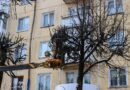 Смоленский «Зеленстрой» проводит сезонную обрезку деревьев
